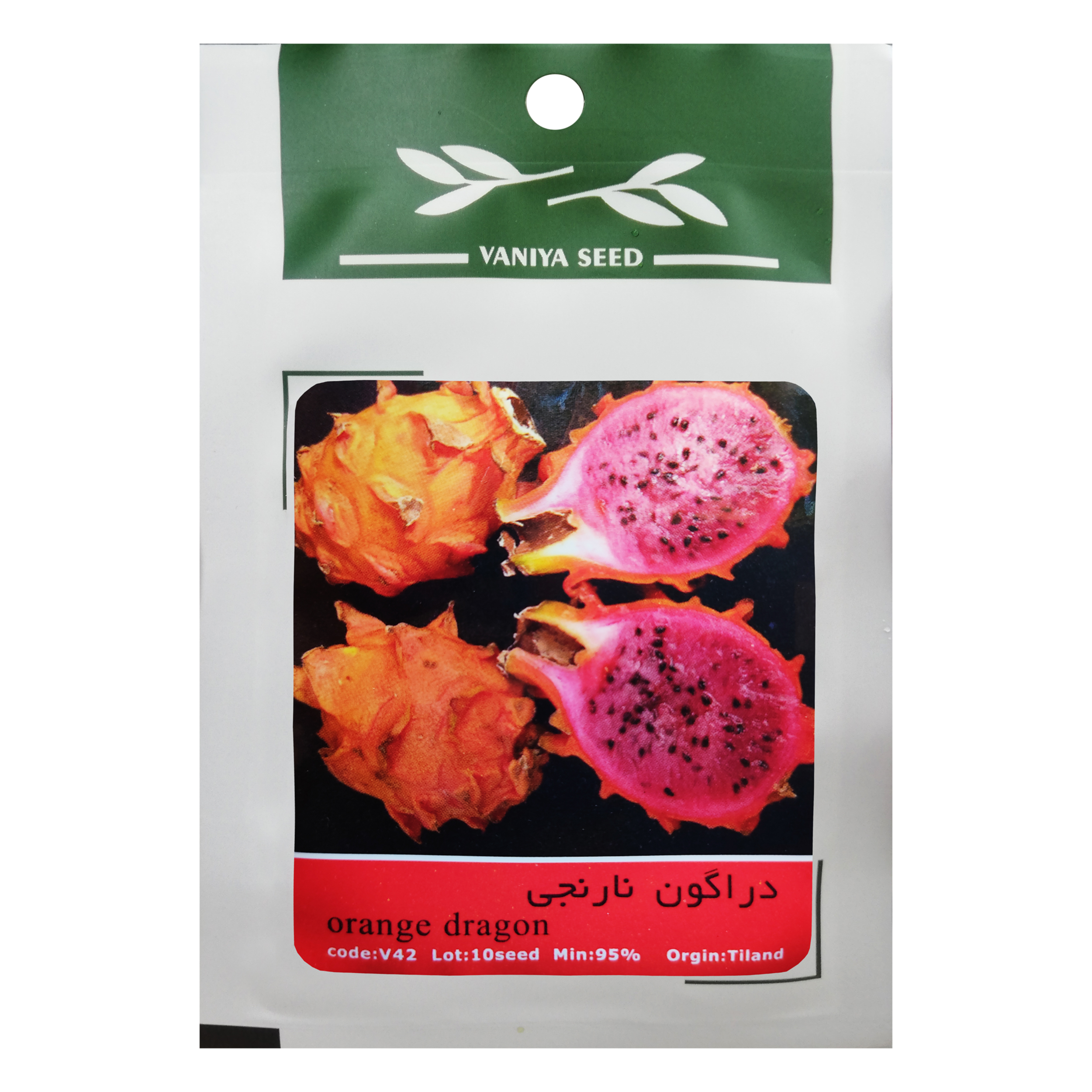 بذر میوه دراگون نارنجی وانیا سید مدل V42