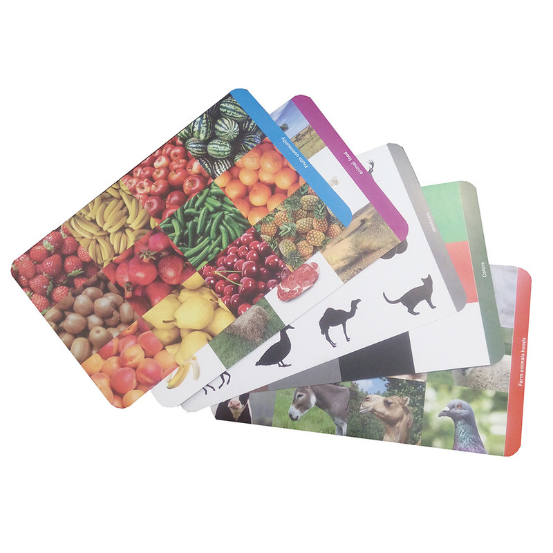 بازی آموزشی مدل هوش چین طرح میوه و حیوانات کد 2