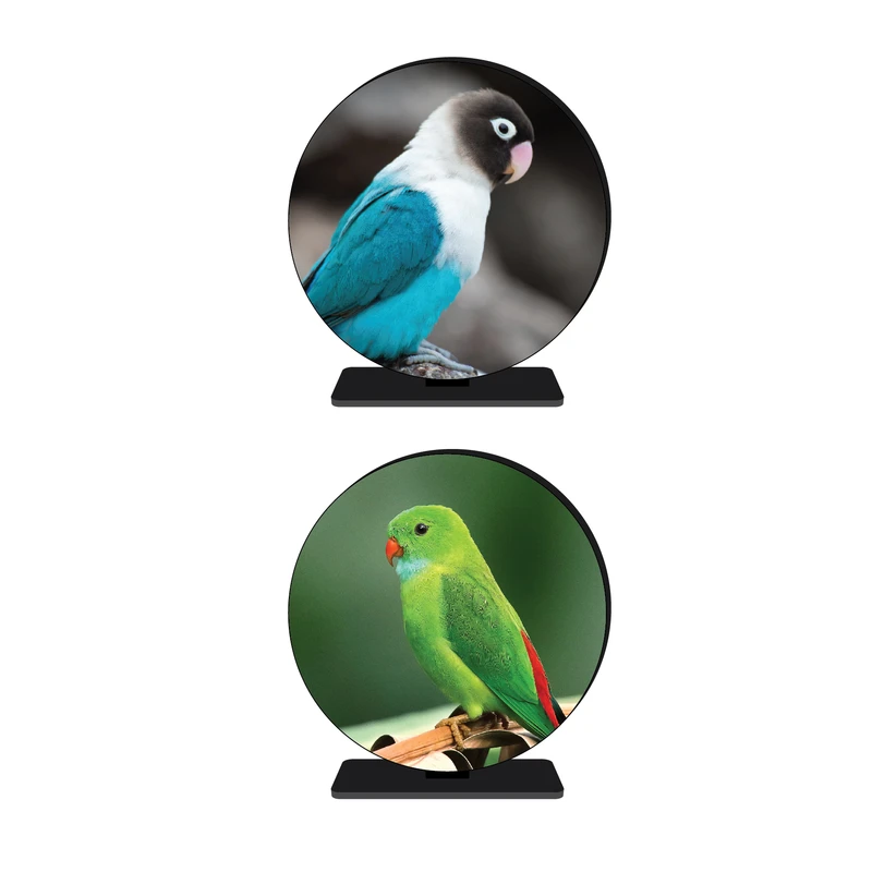 استند رومیزی تزیینی مدل پرندگان رنگارنگ  کد 335 مجموعه 2 عددی