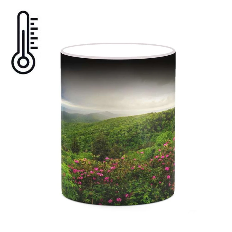 ماگ حرارتی کاکتی مدل منظره کد mgh18293