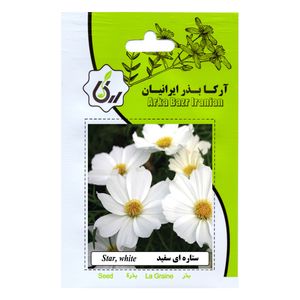 بذر گل ستاره ای سفید آرکا بذر ایرانیان کد 173-ARK