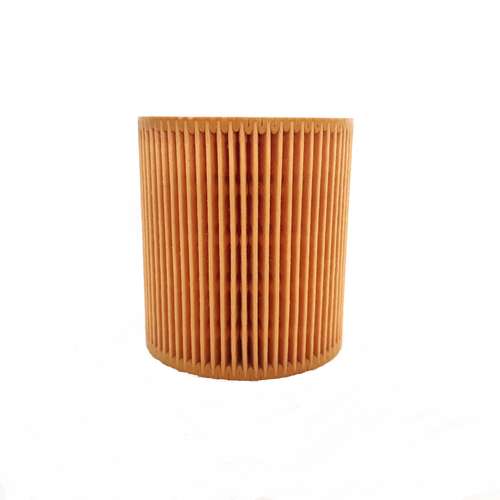 فیلتر روغن خودرو مدل 969 مناسب برای بی ام دبلیو موتور n46