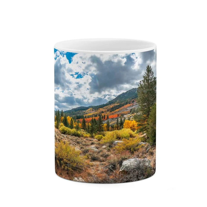 ماگ کاکتی مدل منظره کد mgh13092