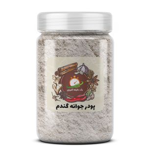 پودر جوانه گندم یک دقیقه آشپزی - 300 گرم