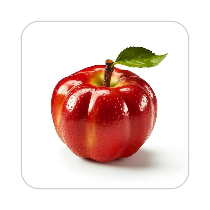 زیر لیوانی کاکتی طرح میوه مدل mp21885