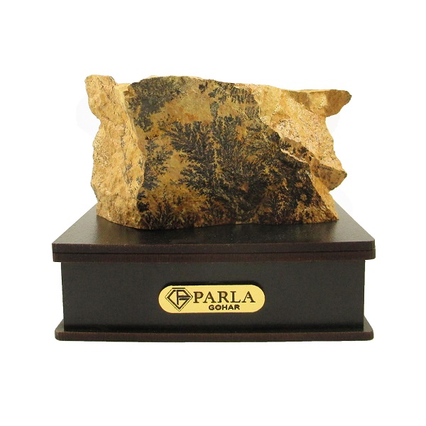 سنگ راف پارلاگوهر مدل شجر فسیلی کد 5658