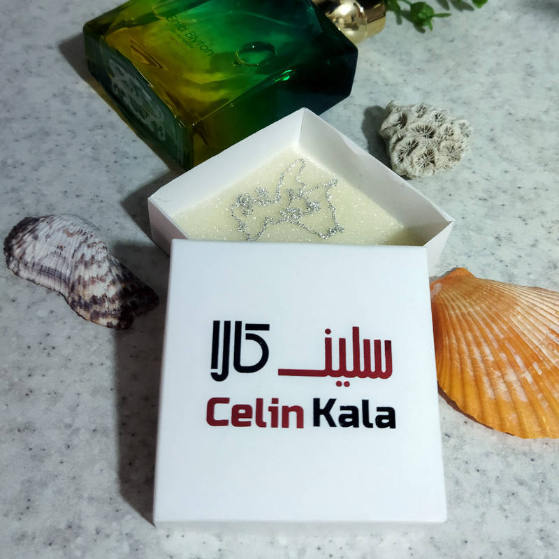 زنجیر نقره زنانه سلین کالا مدل T40 زنجیر نقره زنانه سلین کالا مدل T40