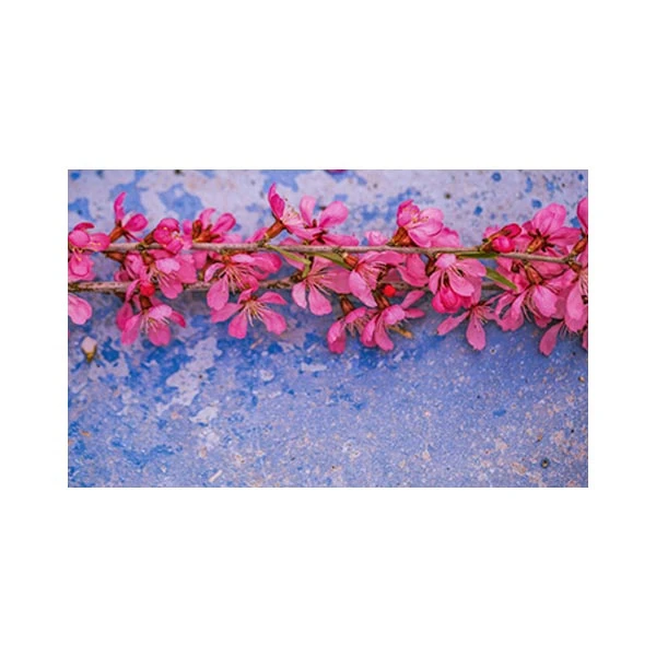   پادری مدل گل و طبیعت کد M35M001-MF0027 سایز 76x46 سانتی متر