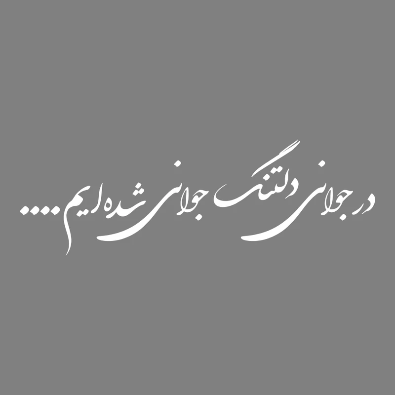 برچسب بدنه خودرو طرح در جوانی دلتنگ جوانی شده ایم کد MT-W390 