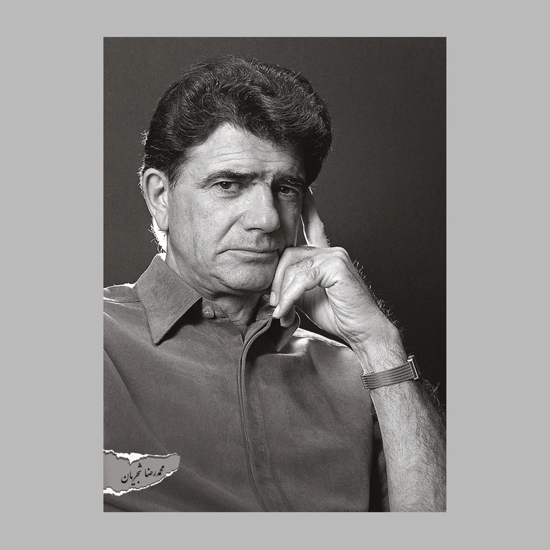 تابلو شاسی طرح محمدرضا شجریان 2 مدل ab53