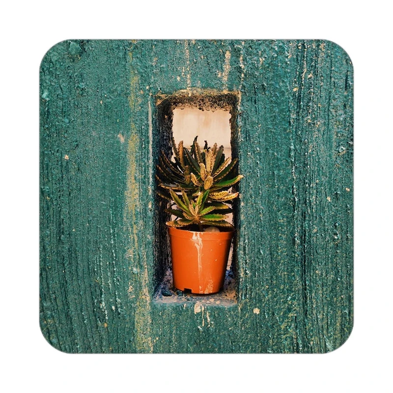 زیر لیوانی کاکتی طرح گل مدل mp16831