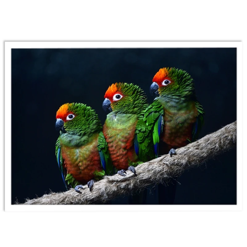 تابلو نوری بکلیت طرح پرندگان طوطی مدل W-S1612