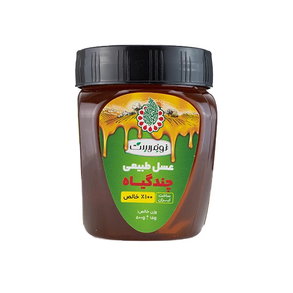 عسل طبیعی چندگیاه کوهستان نوفرست - 500 گرم