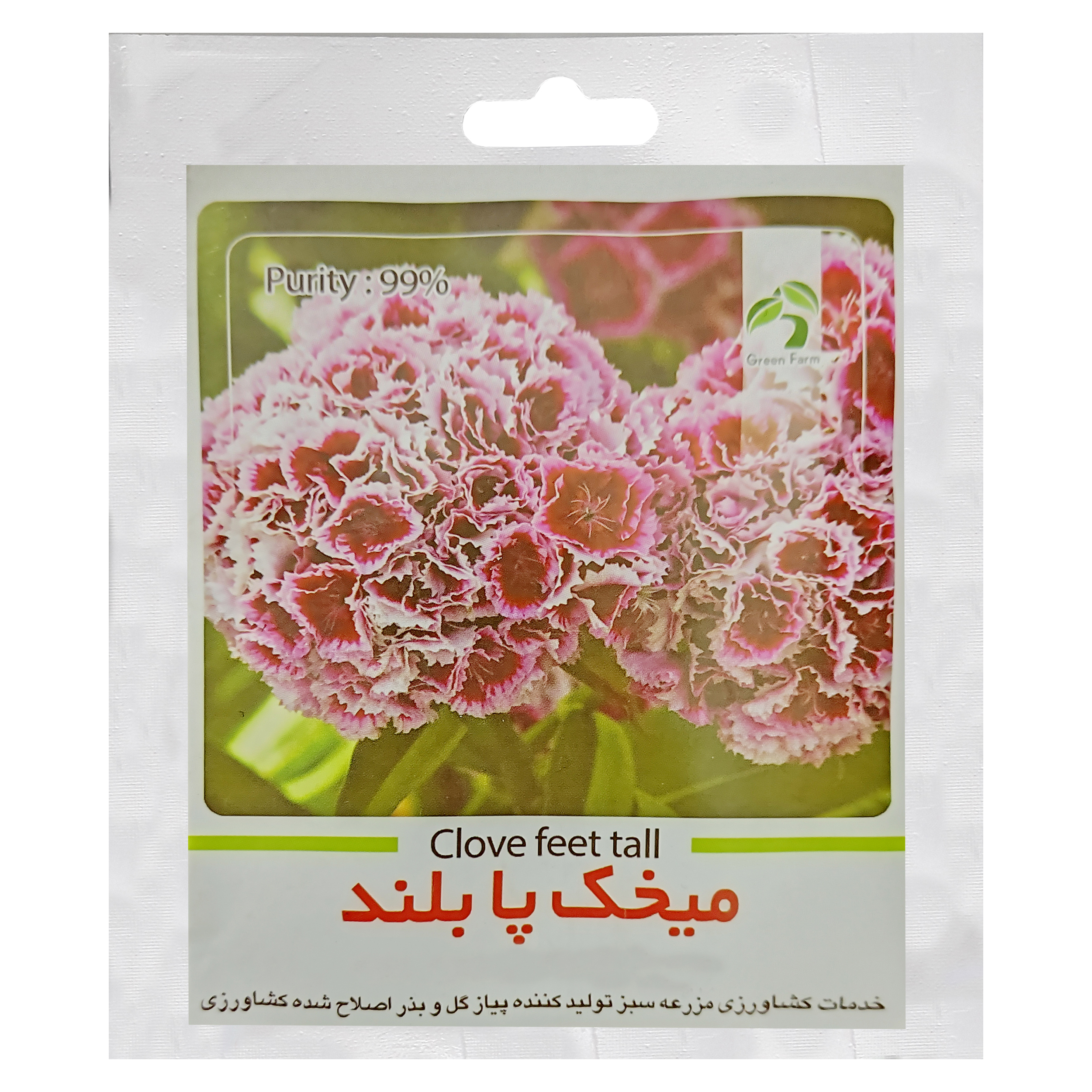 بذر گل میخک پابلند گرین فارم کد GRF-M