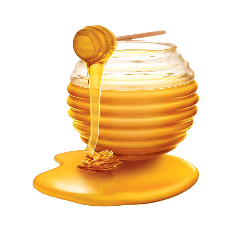 ظرف عسل مدل YMING کد HJ100W