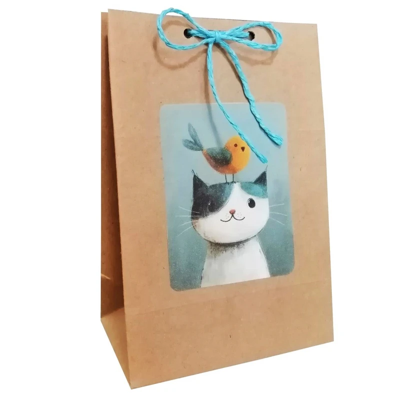 پاکت هدیه مدل گربه و پرنده مجموعه دو عددی