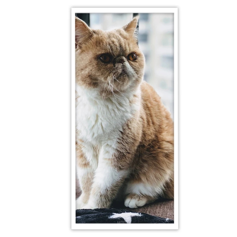 تابلو بکلیت طرح گربه سفید و قهوه ای مدل W-S3470