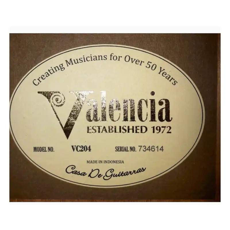 گیتار کلاسیک والنسیا مدل VC204