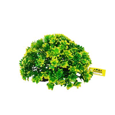 نقد و بررسی گیاه تزیینی آکواریوم آکوا مارس کد B09 توسط خریداران