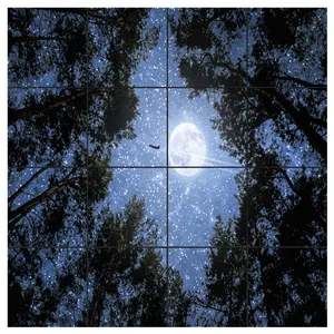 تایل سقفی آسمان مجازی طرح آسمان پر ستاره کد 0200 سایز 60x60 سانتی متر مجموعه 16 عددی