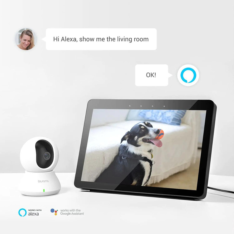 دوربین مداربسته تحت شبکه بلورمز مدل Lite 2 3MP-A31