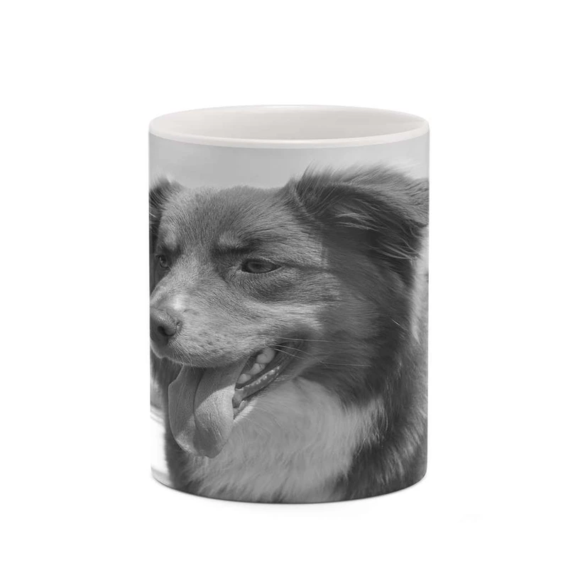 ماگ کاکتی مدل سگ کد mgh19237