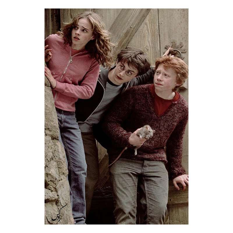 کارت پستال رادکس طرح HARRY POTTER مدل NE91