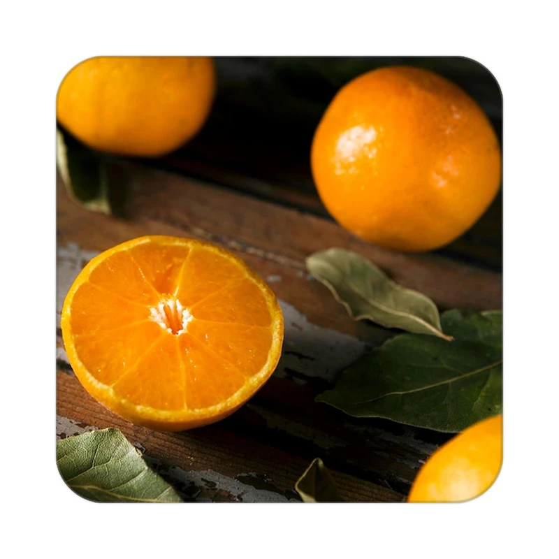 زیر لیوانی کاکتی طرح میوه مدل mp21384