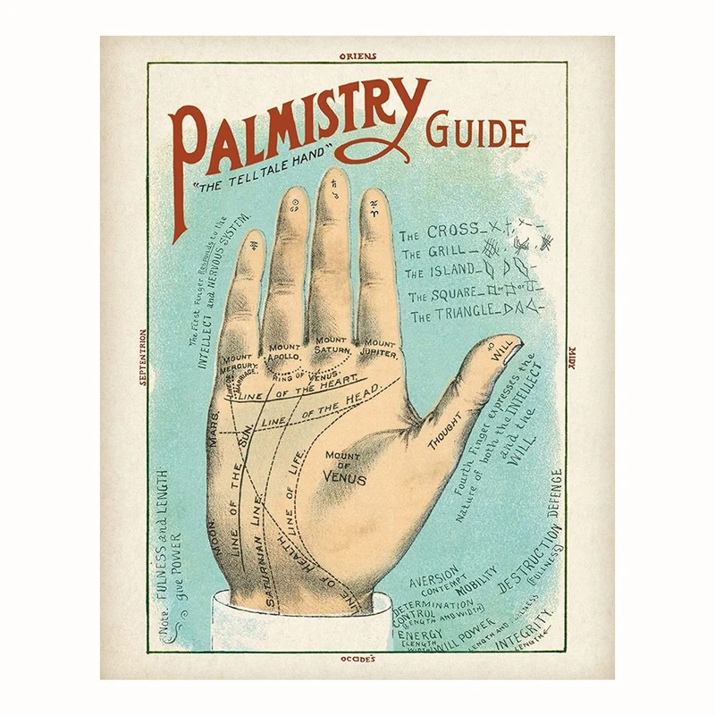 پوستر مدل راهنمای نخل شناسی 