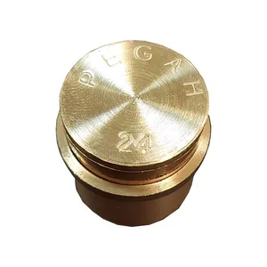 قالب دکمه مدل  24