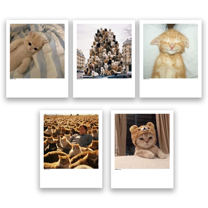 آویز تزیینی عرش مدل فانتزی گربه بامزه کد Asa359 مجموعه پنچ عددی