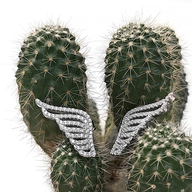 گوشواره نقره زنانه اقلیمه کد EN269