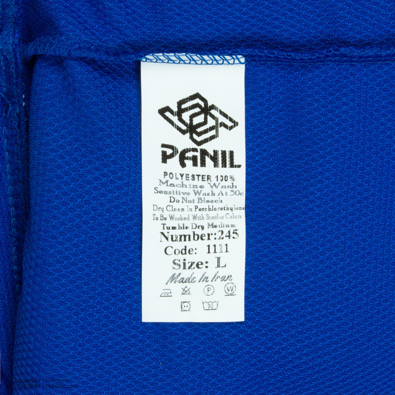 ست تی شرت و شلوارک ورزشی مردانه پانیل کد 1111BB