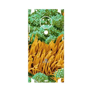 MAHOOT Atom Universe 6-FullSkin Cover Sticker for Nokia 5.3