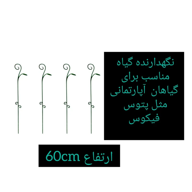 عکس شماره 3