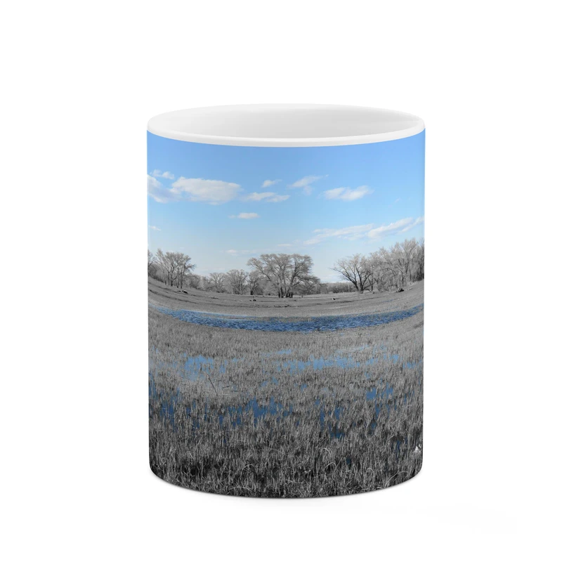 ماگ کاکتی مدل منظره کد mgh17684