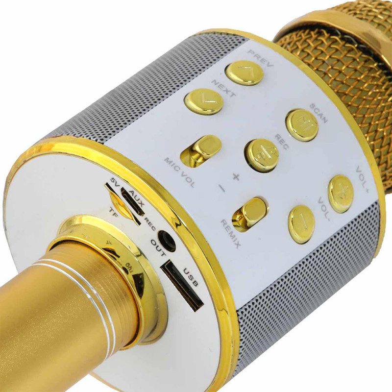 میکروفون اسپیکر گودفری مدل ws-858G