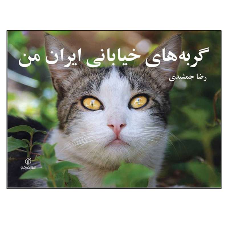 کتاب گربه های خیابانی ایران من اثر رضا جمشیدی نشر یساولی