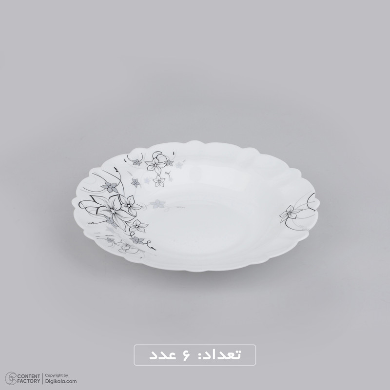 سرويس 25 پارچه آیروپال مدل رکسانا سرويس 25 پارچه آیروپال مدل رکسانا