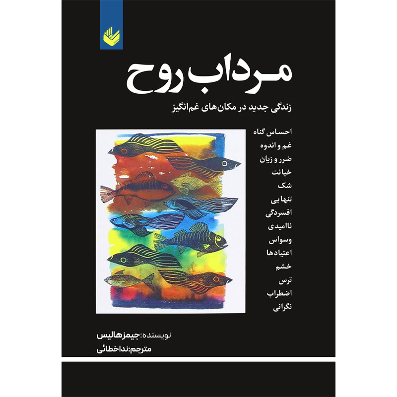 کتاب مرداب روح اثر جیمز هالیس ترجمه ندا خطائی انتشارات اندیشه بیگی