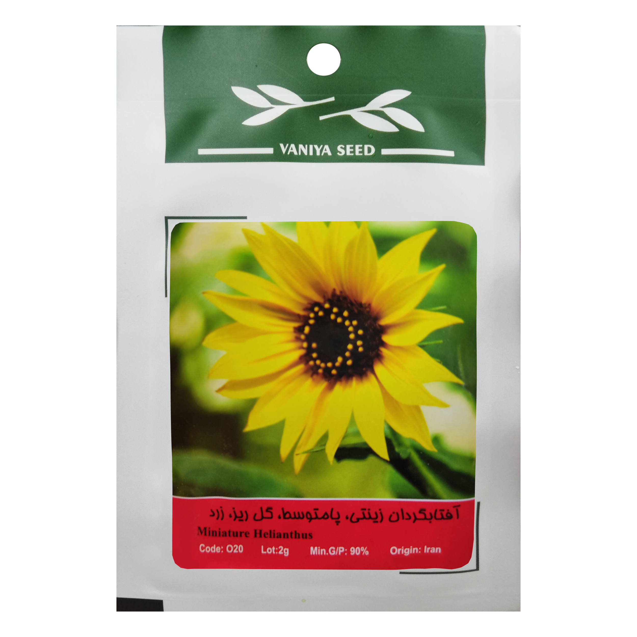 بذر گل آفتابگردان زینتی وانیا سید مدل O20