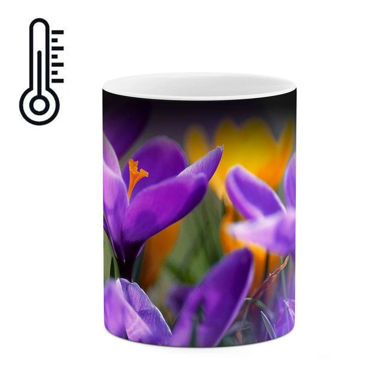 ماگ حرارتی کاکتی مدل گل کد mgh12136