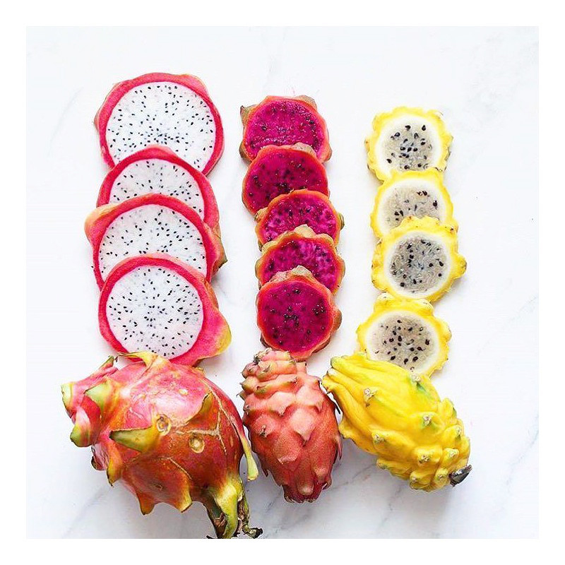 بذر میوه دراگون میکس وانیا سید مدل N132