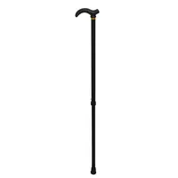 عصای&nbsp;کوهنوردی  مدل ریلی کد R60