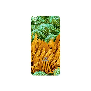 MAHOOT Atom Universe 6 Cover Sticker for Huawei Y6