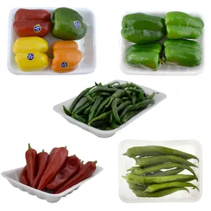 فلفل دلمه سبز 1 کیلوگرم - فلفل دلمه رنگی 1 کیلوگرم - فلفل کاپی سبز 1 کیلوگرم - فلفل کاپی قرمز 1 کیلوگرم - فلفل کبابی 1 کیلوگرم