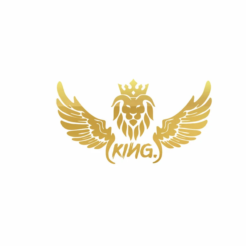 برچسب بدنه خودرو رادیانس طرح LionFly کد B39