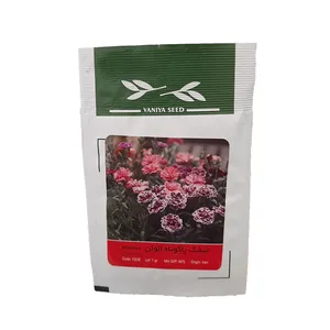 بذر میخک پاکوتاه الوان وانیا سید مدل 0232