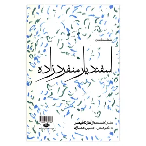 کتاب شناسنامه ی اسفندیار منفردزاده اثر حسین عصاران نشر نگاه