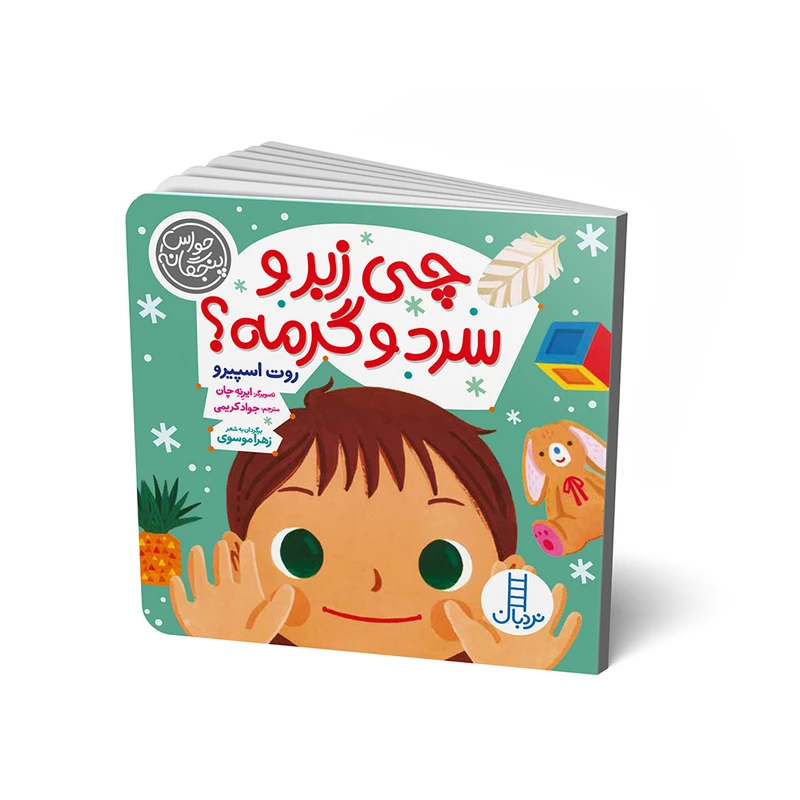 کتاب چی زبر و سرد و گرمه اثر روت اسپیرو انتشارات فنی ایران 